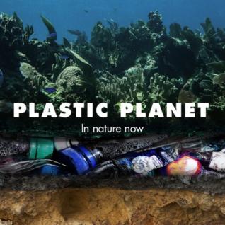 Plastic Planet campaign: Animations & templates (Northern Ireland)