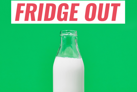 Chill The Fridge Out image of bottle of milk