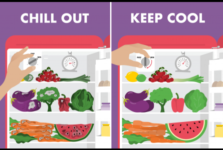 Illustrated Fridge filled with fruit and vegetables with the words 'Chill Out' written above